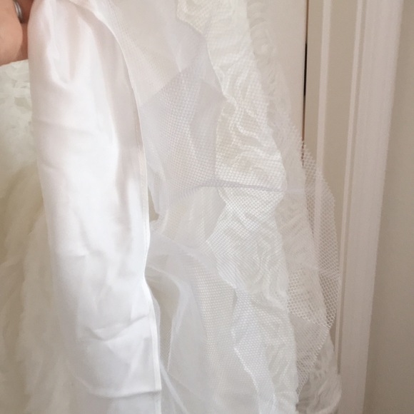 Adrianna Papell Wedding Dress - Picture 6 of 9